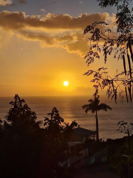 Ti Sucrier Jaune - Douceur Caraibe Vue Mer Le Carbet Exteriér fotografie