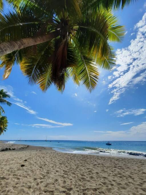 Ti Sucrier Jaune - Douceur Caraibe Vue Mer Le Carbet Exteriér fotografie