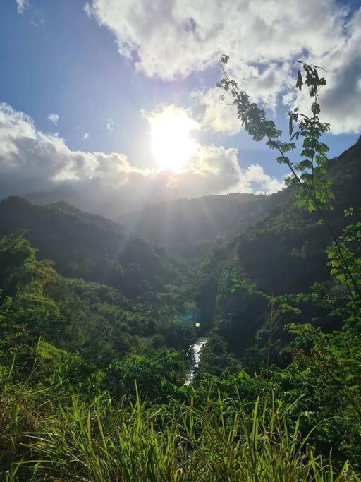 Ti Sucrier Jaune - Douceur Caraibe Vue Mer Le Carbet Exteriér fotografie
