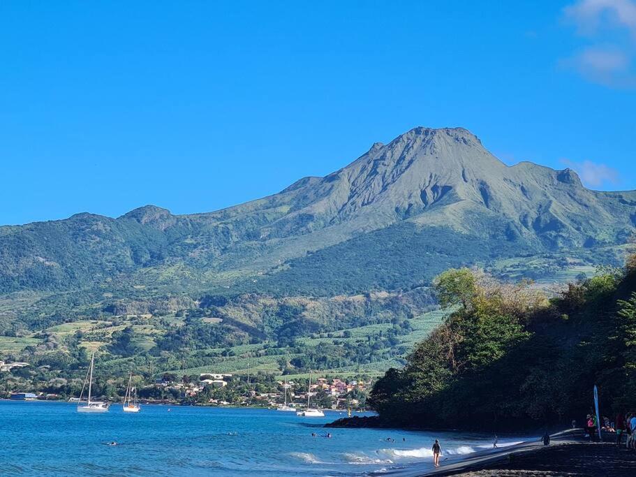 Ti Sucrier Jaune - Douceur Caraibe Vue Mer Le Carbet Exteriér fotografie
