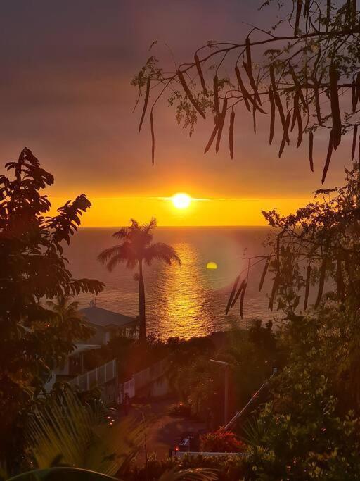 Ti Sucrier Jaune - Douceur Caraibe Vue Mer Le Carbet Exteriér fotografie