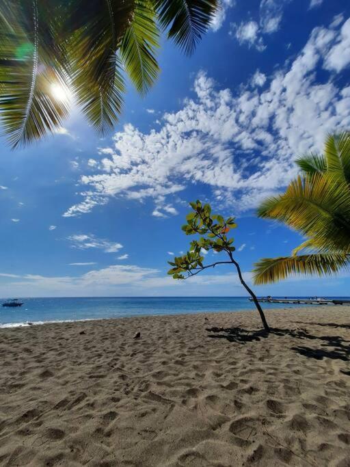 Ti Sucrier Jaune - Douceur Caraibe Vue Mer Le Carbet Exteriér fotografie